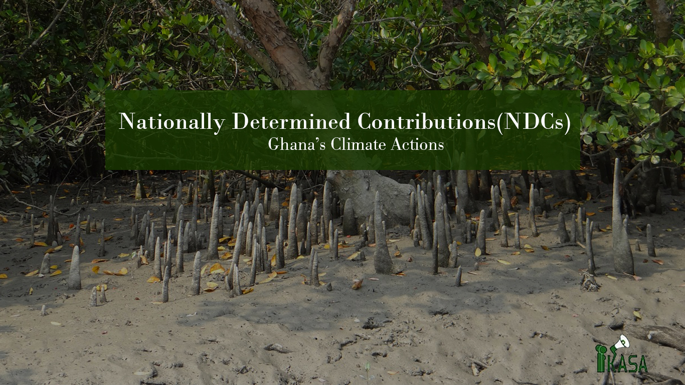 NDC web